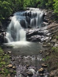 Stream flowing through a forest