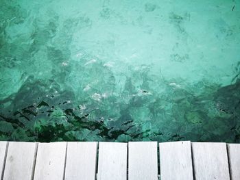 High angle view of swimming pool by lake