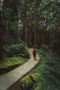 Rear view of woman walking in forest