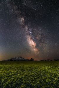 Scenic view of field against star field