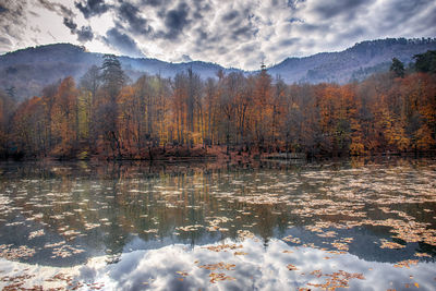 Scenic view of lake by trees against sky