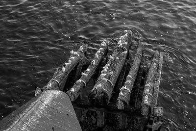 High angle view of ropes in sea