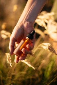 Close-up of hand holding bottle with eyedropper by plant