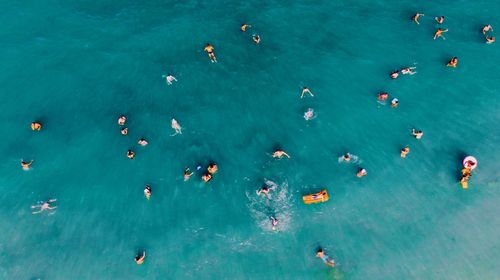 High angle view of people swimming in sea