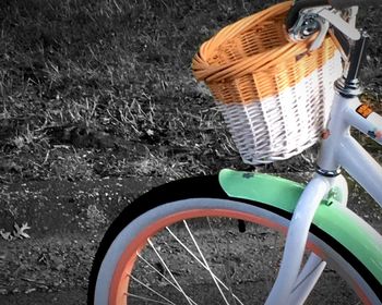 Close-up of tree trunk