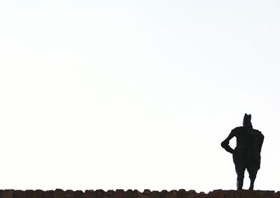 Rear view of man standing against white background