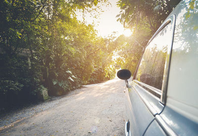 Road amidst trees against sky