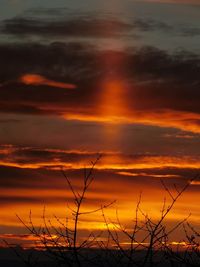 Silhouette plants against dramatic sky during sunset