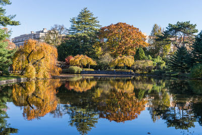 Reflection of trees in lake against clear sky