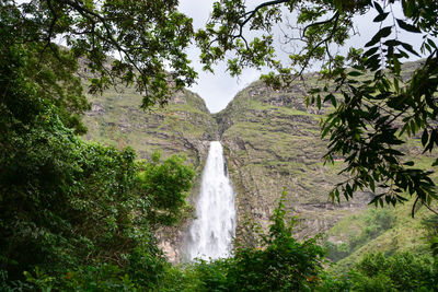 Scenic view of waterfall against trees in forest