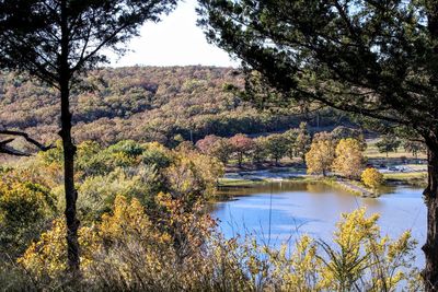 Scenic view of lake in forest during autumn