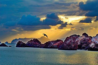 Birds flying over sea against sky during sunset
