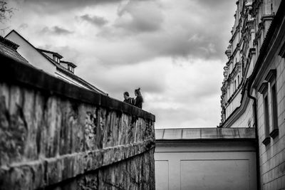 Low angle view of bird perching on building against sky