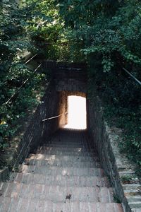 Empty footpath leading towards tunnel