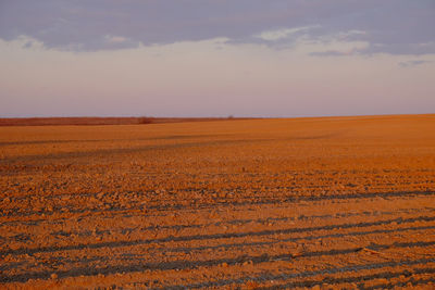 Scenic view of field against sky during sunset