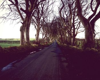 Empty road along trees