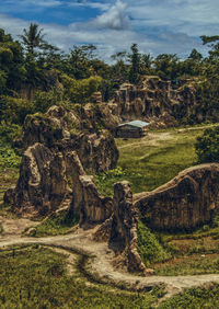 View of trees on landscape against cloudy sky