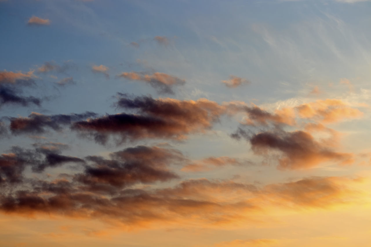 LOW ANGLE VIEW OF CLOUDS IN SKY