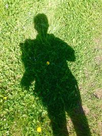 Shadow of people on grass
