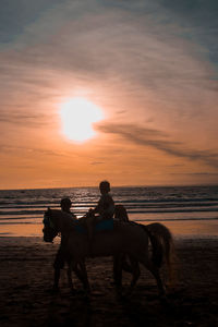 Sunset sand horse sky beach