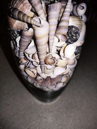 High angle view of shells in container