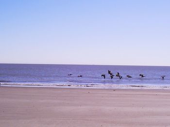 Scenic view of beach against clear sky