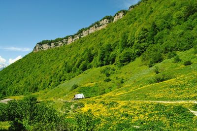 Scenic view of green landscape against clear sky