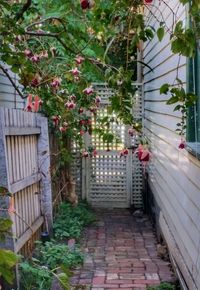 Narrow walkway along plants