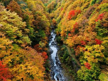 View of stream along autumn trees