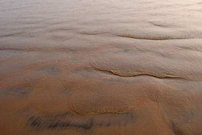 Full frame shot of wood on sand