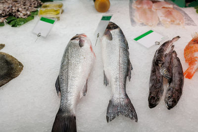 Freshly fish kept on ice for sale on the market counter.