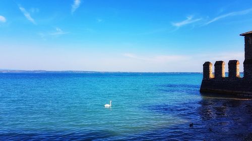 Scenic view of sea against blue sky