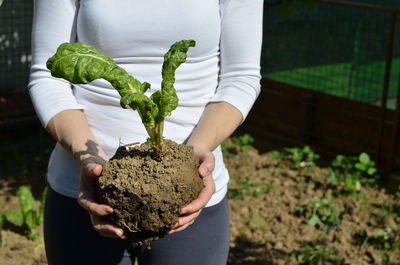 Midsection of woman holding plant