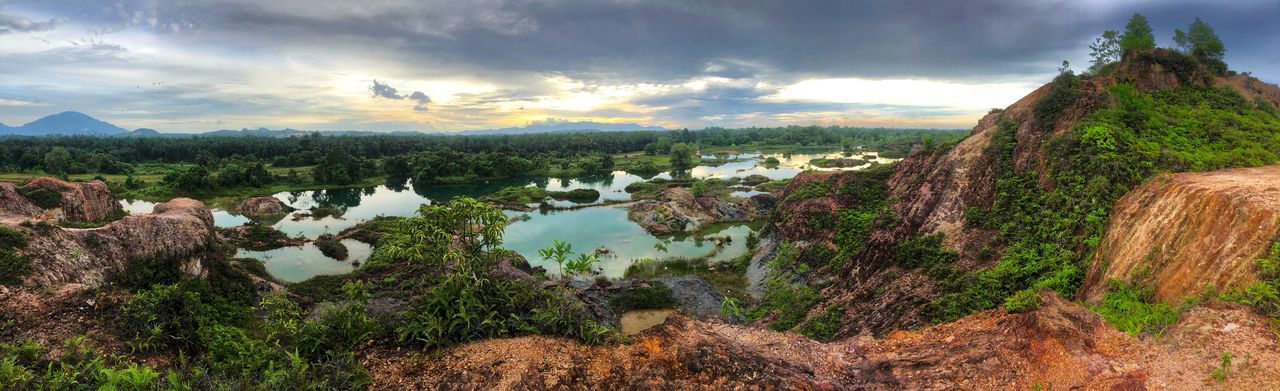 PANORAMIC VIEW OF LAKE AND PLANTS AGAINST SKY