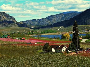 Scenic view of agricultural field against sky