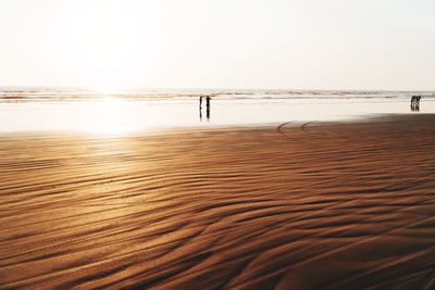 Scenic view of beach against clear sky