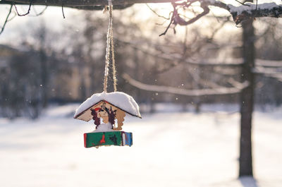 Close-up of birds home in winter