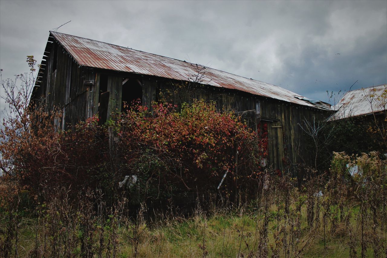 architecture, built structure, building exterior, sky, building, abandoned, plant, cloud - sky, house, nature, no people, growth, land, residential district, damaged, run-down, field, old, outdoors, day, deterioration, ruined