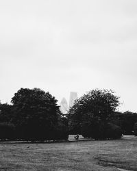 Trees in park with city in background