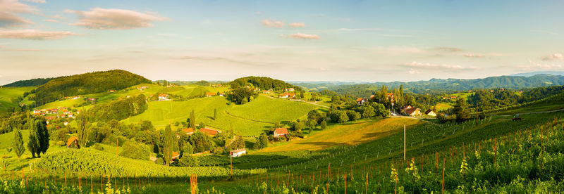 Scenic view of agricultural field against sky