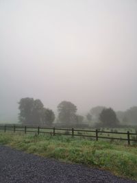 Trees on field against sky