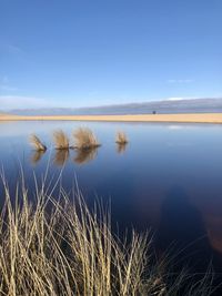 Scenic view of lake against clear sky