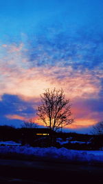 Silhouette bare trees on snow covered landscape