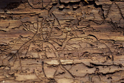Full frame shot of stone wall
