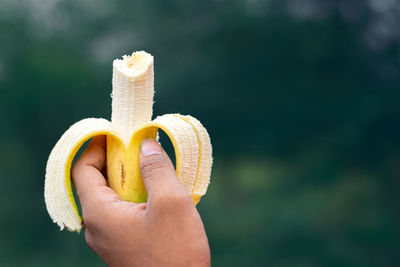 Close-up of person holding bread