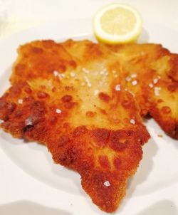 Close-up of meal served in plate