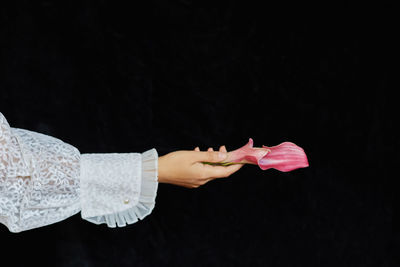 Close-up of woman hand holding pink flower against black background