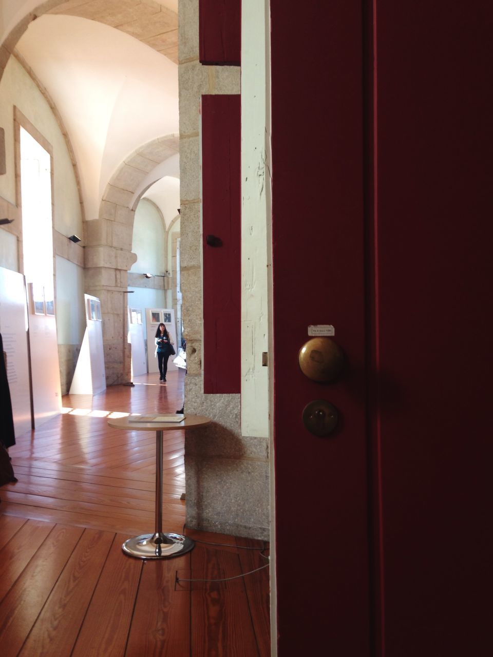 indoors, animal themes, wood - material, reflection, door, flooring, built structure, arch, architecture, window, corridor, home interior, day, bird, full length, no people, lighting equipment, architectural column, tiled floor, glass - material