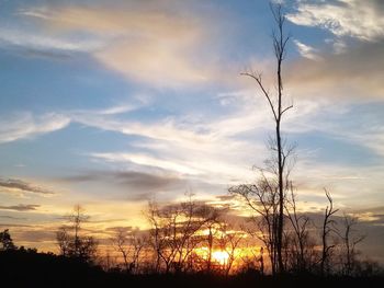 Silhouette bare trees against sky during sunset