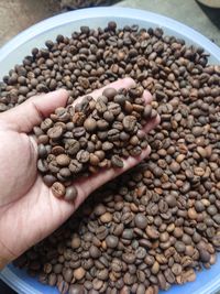 Cropped hand of roasted coffee beans